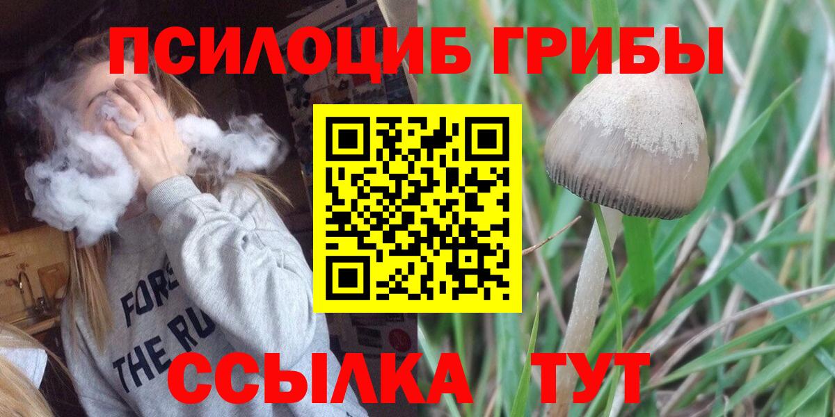 Галлюциногенные грибы мухоморы Добрянка